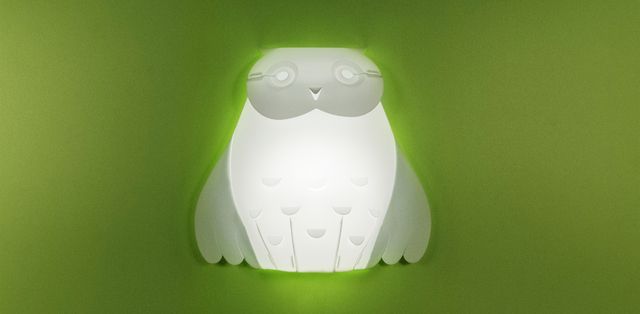 owl / sunny GIFT